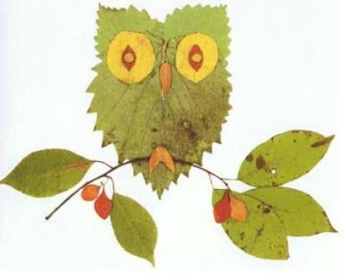 Some suggestions of Leaf Art are; faces, insects, animals, fish