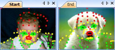 (Pro) Fading Dots Fading dots is an optional step you can use to further improve the look of your photo mix.
