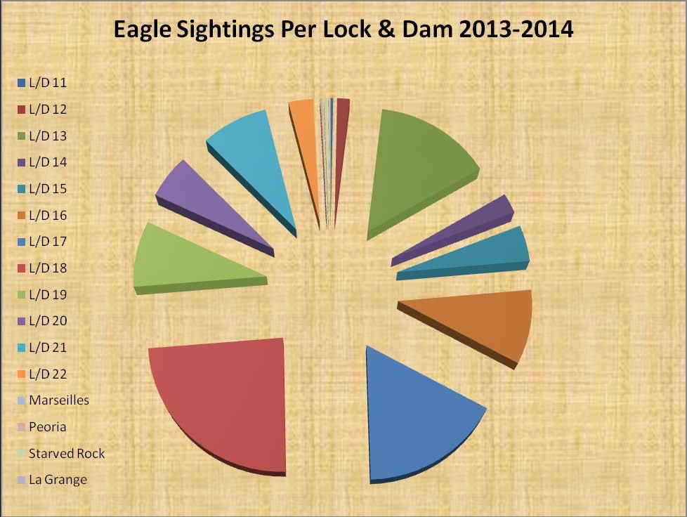Summary of 2013-2014 Findings In all, 29,619 eagles were sighted during the 2013-14 survey period. Total adults sightings were 21,029 juveniles were 8,590 and unknown 1,041.