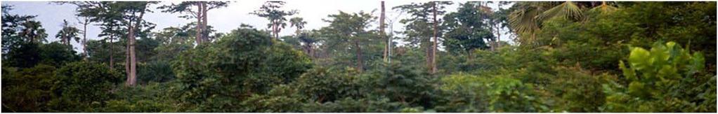 3b. Definition of Readiness: Update on Readiness Package and FCPF/UN-REDD Collaboration Joint