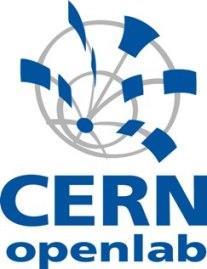 Research Infrastructures (e-infrastructures) (2) Wide Experience at CERN.