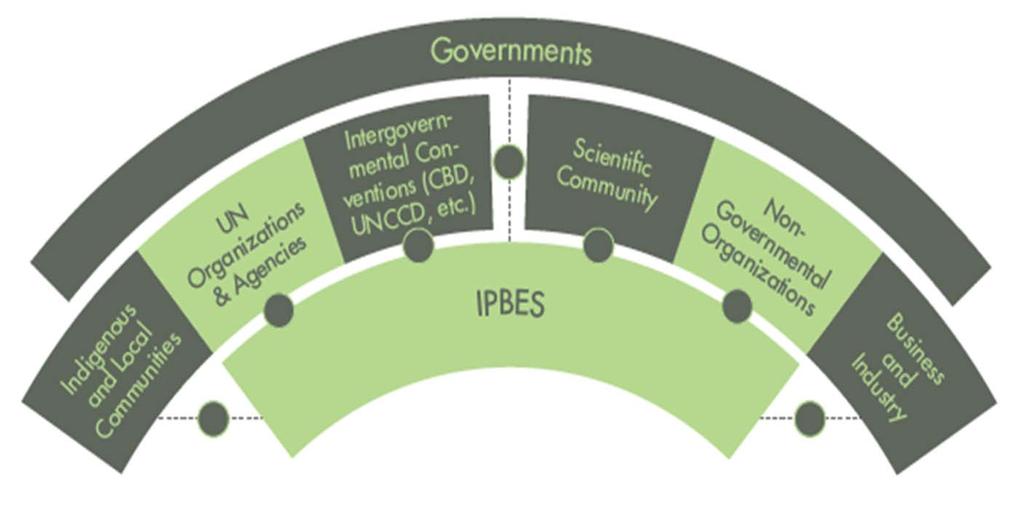 OPPPORTUNITIES TO GET INVOLVED IPBES currently has 126 Members.