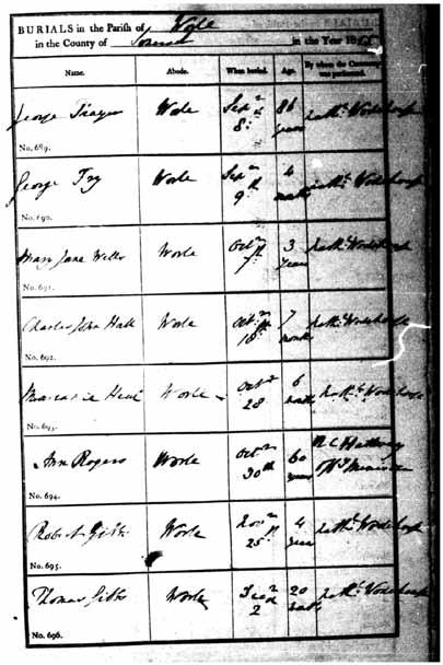 Note: I did not find a burial for Robert Henry Gabe in South Petherton between 1850 and 1860. and he was not with the family in the 1861 Census.
