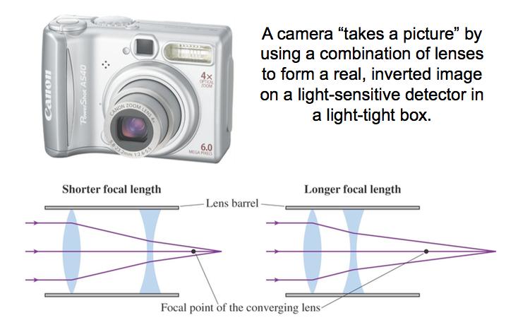Camera A camera must focus the image and control the amount of light captured by the detector adjust