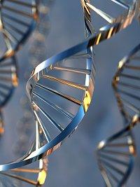 A citizens jury concerning genetic testing for susceptibility to common diseases www.abc.net.au Question: "What conditions should be fulfilled before genetic testing for people susceptible to common diseases becomes available on the NHS?