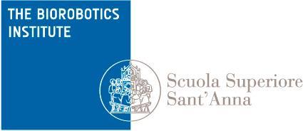 Infos Coordinator: Cecilia Laschi The BioRobotics Institute Scuola