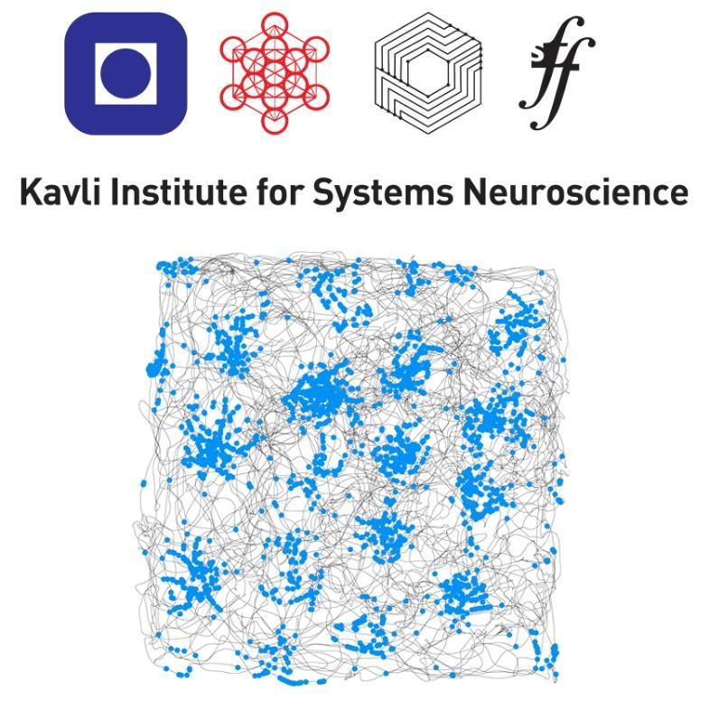 The Kavli Institute for Systems Neuroscience / Centre for Neural Computation Vision: To understand the emergence of higher brain