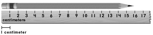 Two rulers are shown below.