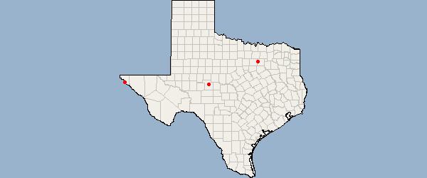 Texas CEBRIDGE TELECOM OK, LLC (1430 IA $32,101 $0 $32,101 CONTERRA ULTRA BROADBAND, LLC IA $36,430,752 $0 $36,430,752 Total $36,462,853 $0 $36,462,853 SAN ELIZARIO INDEP SCHOOL DIST (142105) IRVING