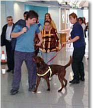 Exploring New Methods to Train Canines Thrust To provide a deeper understanding of the potential contributions that trained canines can contribute in support of
