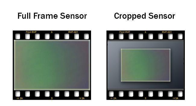 Sensor Size of the Sensor is 35mm (36 mm 24 mm) is known as full frame