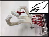Other factors such as surface compliance and skin texture found in the human hand, must also be considered in the robot hand to improve its dexterity.