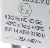 temperature EUT 14 TEX 0150 U EUT: laboratory which issues the CE type certificate 14: year of issue of certificate 0150: number of CE type certificate U: TEX component GS Electrical characteristics