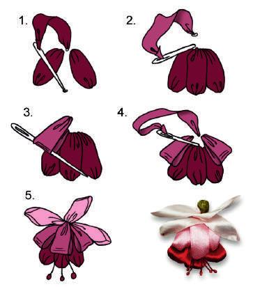 43 Flower 24 fuchsja 44 Flower 25 chryzanthemum Using basic
