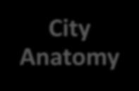 FOUNDATIONAL DOCUMENTS COMPLETED City Anatomy Establishes the Central Conceptual Framework for City Protocol Anatomy Ontology Establishes a common vocabulary and formal knowledge
