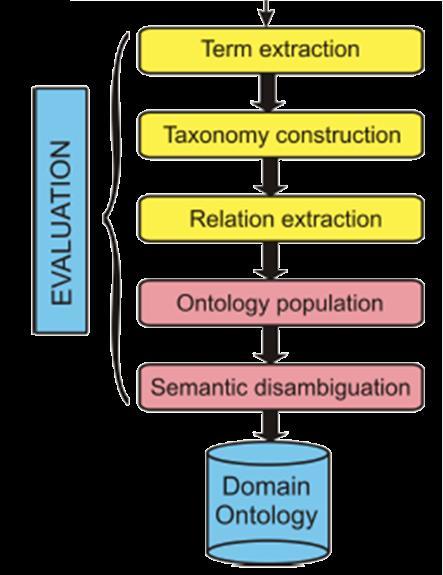ANATOMY ONTOLOGY Competency (questions) Organization (taxonomy) Relevant terms (vocabulary) Relationships (terms/definitions) Water cycle CITY ANATOMY hascons tuent Structure