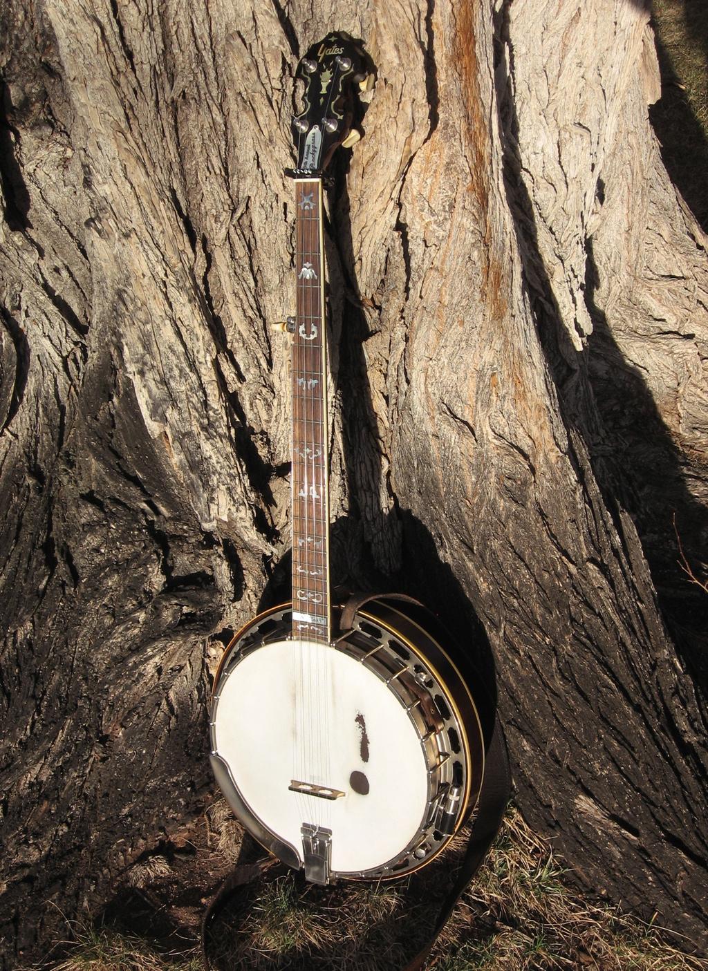 Presents Bluegrass Banjo V3