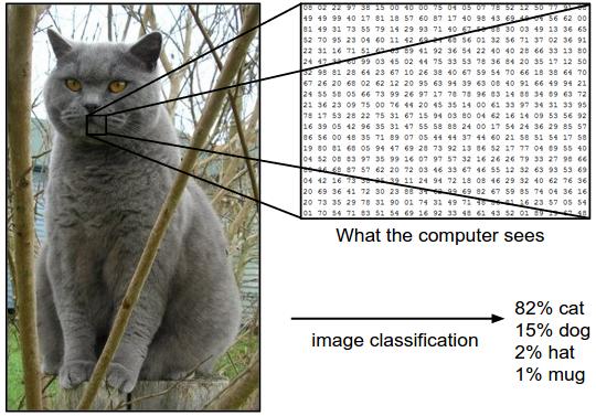 Image Classification Each image also requires a lot of input values: Suppose we have an image of 248x400 pixels If the image is in