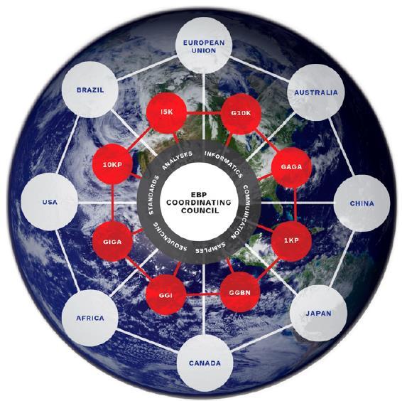 Earth BioGenome Project Proposal organizational model
