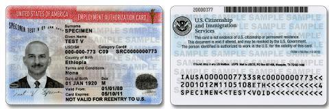 Sample EAD Card Employment Authorization Document Review all information -- name, date of birth,
