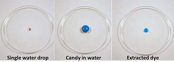 3 of 6 9/12/2018, 2:06 PM Figure 3. To extract the candy dye, leave a piece of candy in a single drop of water for three minutes. When you remove the candy, a puddle of dye will be left behind.