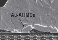 IMC (Intermetallic Compound) : Composed of multiple constituents from metal and the