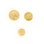999 fine gold Pandas: 25 Yuan 1/4 oz, 50 Yuan 1/2 oz, 100 Yuan 1 oz.
