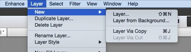 To add a new layer click on the layer tab and click add new layer.