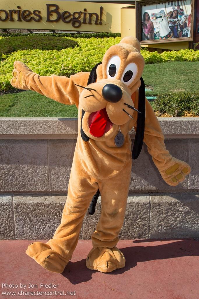 In this case, let s use the original image we started working and this additional image of Pluto in Disney World. Before you start working it s important to check the lighting of each photo.