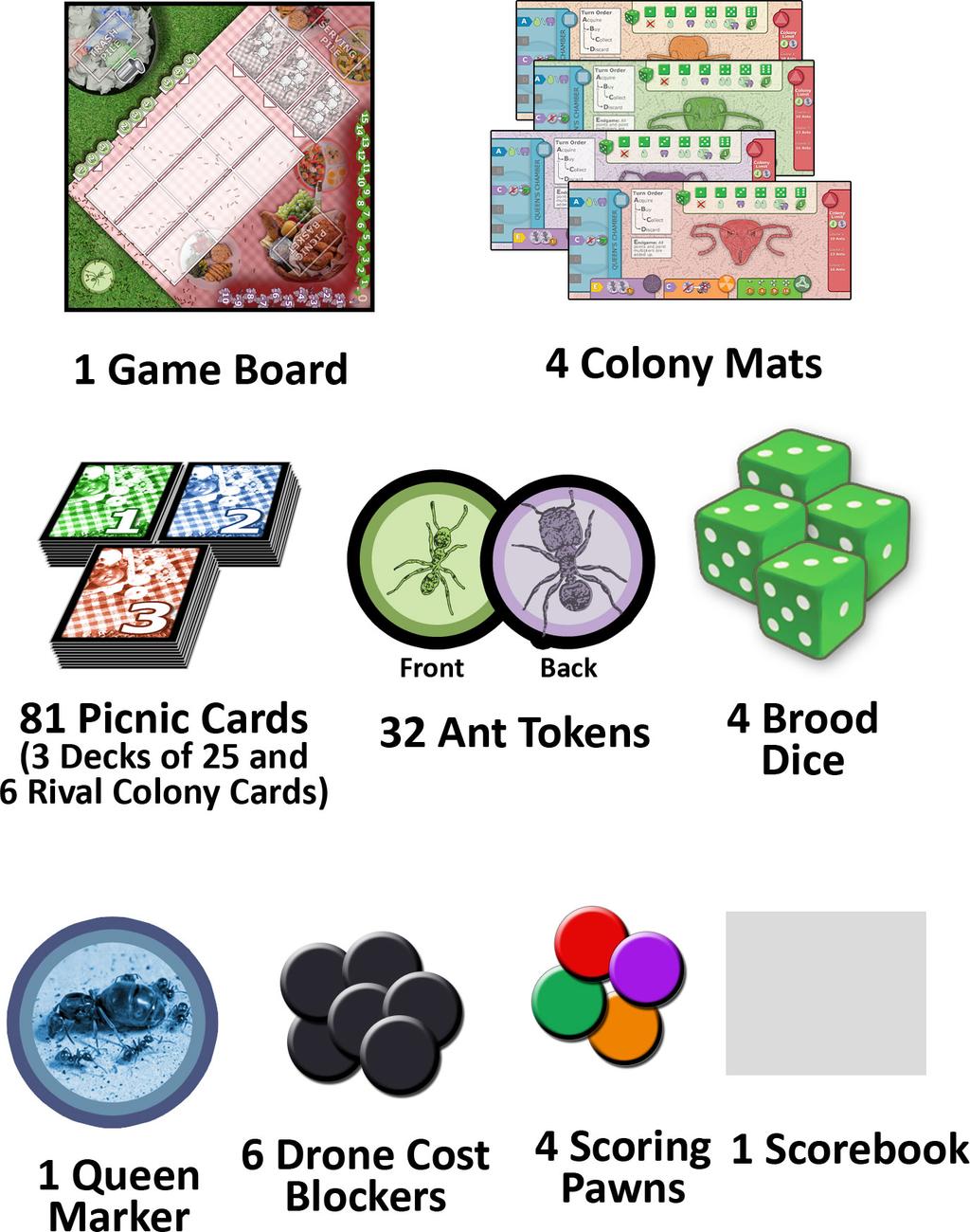 These cards can make their colonies more dominant or grant various powers that aid each player in achieving dominance.