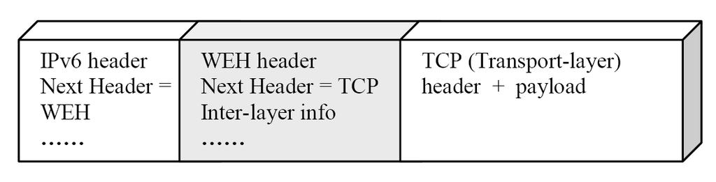 1. Signaling by Packet Headers Limited amount of network layer information can be encoded in optional packet headers.