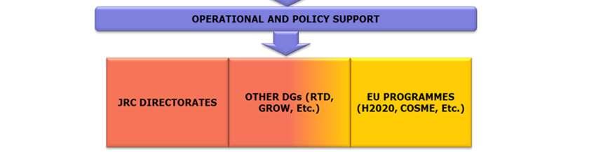 EU, national, regional and local level.