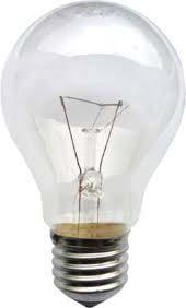 types of bulbs