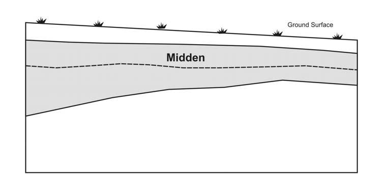 (after Poplin et al. 2002). Figure 10.