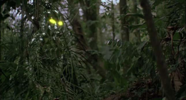 Even some Science Fiction is not far away Predator ( 20 th