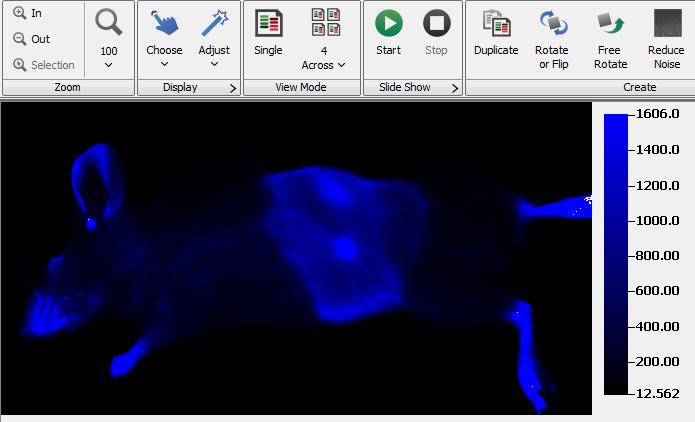 Page 6 - How to Use the Image Studio Software Small Animal Image Analysis IV.