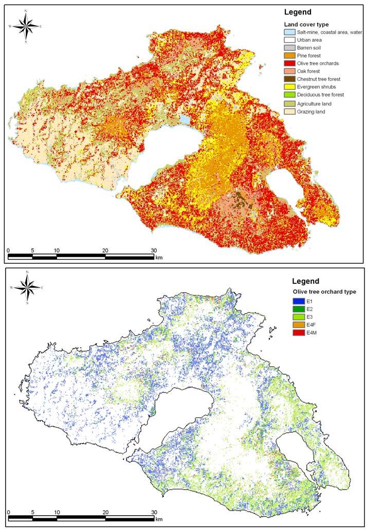 Figure 3: Land cover types (above) and Olive tree