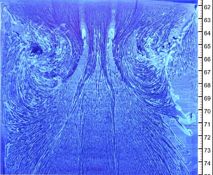 Contours of spanwise vorticity showing the separated flow on the APG ramp
