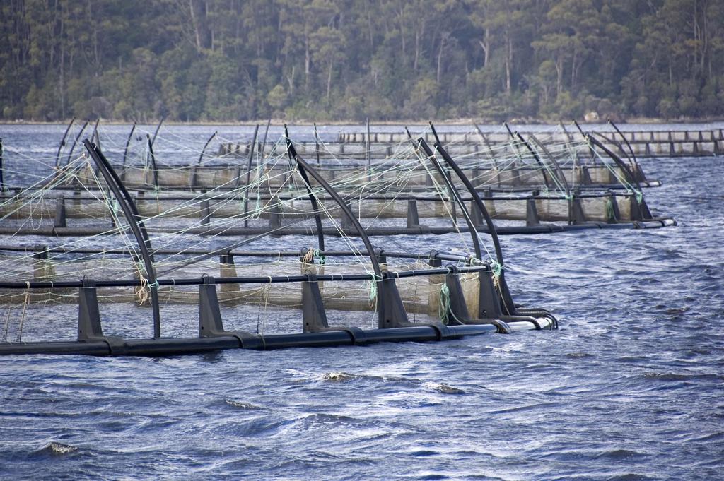Research Priorities A 1 Seafood & marine products Developing, testing and evaluating