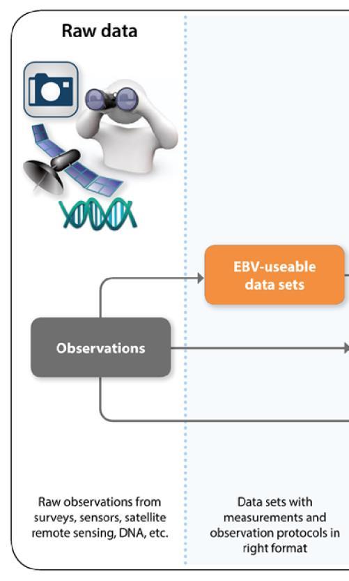 1) Observations / primary data to EBV usable data Measurements with comparable units, similar observation protocols Activities Discovery and retrieval from repositories Filtering by key dimensions of