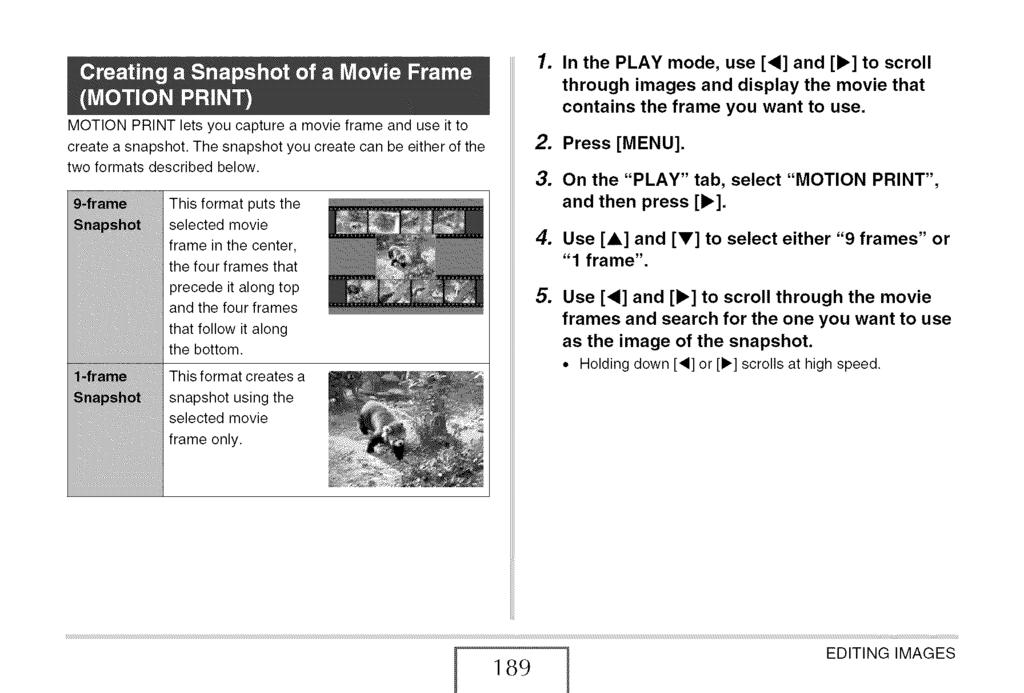 MOTION PRINT lets you capture a movie frame and use it to create a snapshot. The snapshot you create can be either of the two formats described below.