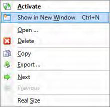 To show active preview image in a separate window, right click on it to show context menu and select 'Show in New Window'.