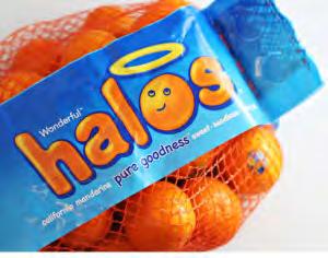 42 847699 Oranges Halo