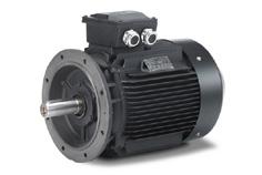 RMF Systems Electric Motors GENERAL INFORMATION ABOUT ELECTRIC MOTORS Electric motors are manufactured according to international standards under IEC and are fulfilling the requirement of the EC