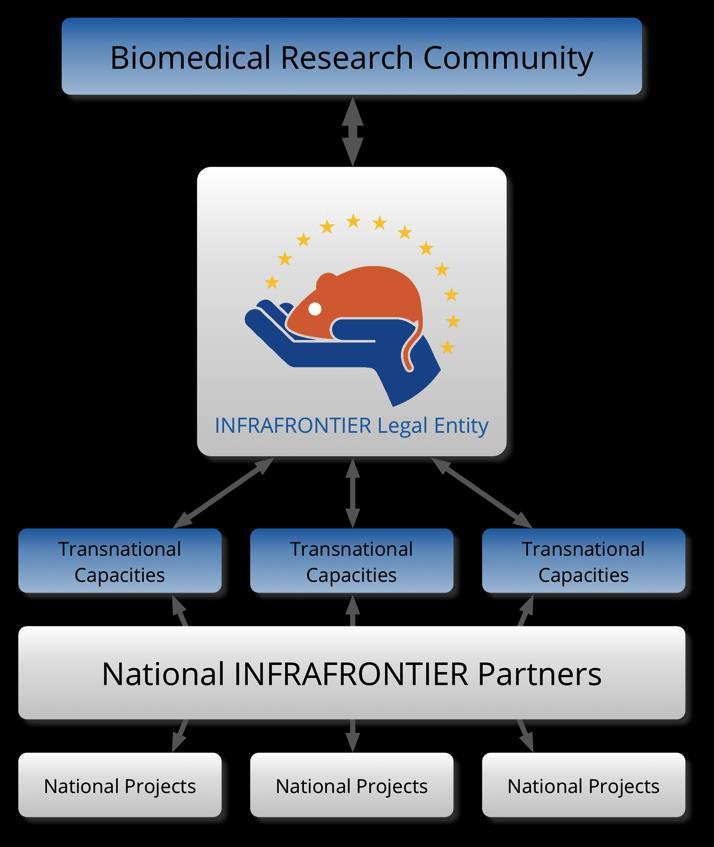INFRAFRONTIER GmbH Added Value Users: Single point of entry to all resources and