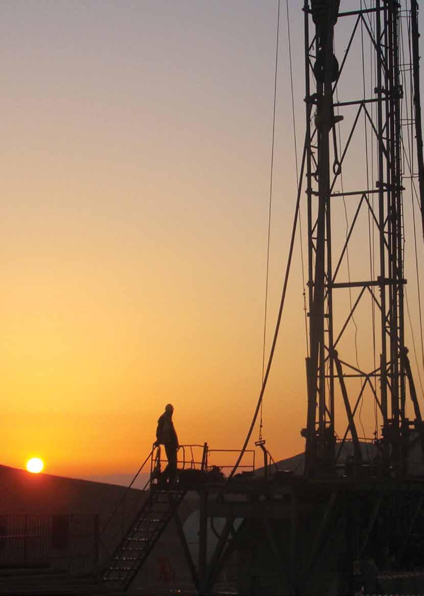 SITE GROUP FOR SERVICES AND WELL DRILLING Site Group for services and well drilling was founded in Jordan in 1993 with the vision of serving the natural resources industry in the Arab World and