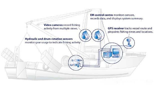 Remote Electronic Monitoring (REM) system Courtesy