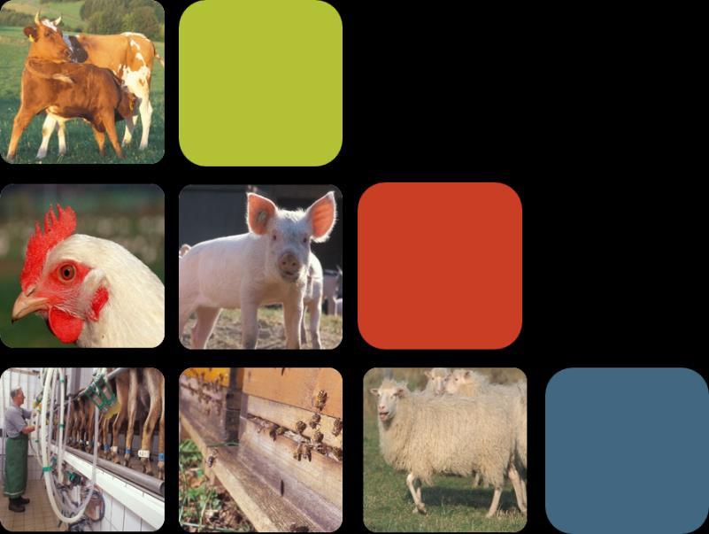 Sustainable Animal Production Two
