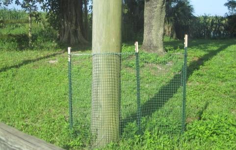 There is a Green Fence Lechi alongside the canal just under the wire 2 3 1 Drive straight then make a left and a left around back to the top where the wire connects to