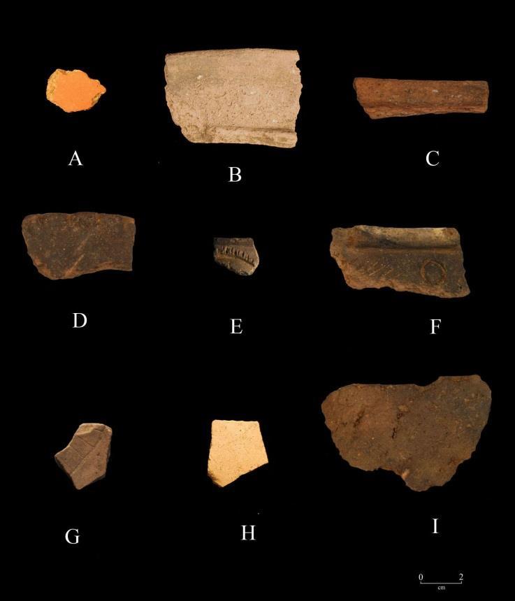 Figure 23. South Tent Pad pottery. (a-d) Mississippi Plain, a is red filmed, b is jar rim, c is folded-flattened jar rim, d has notched lip; (e and f) Moundville Incised, var.